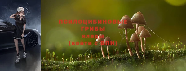 jwh Алзамай