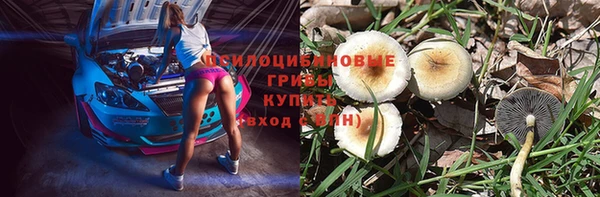 jwh Алзамай