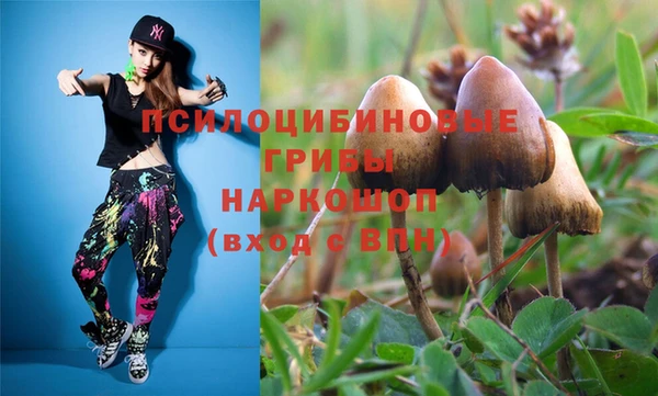 jwh Алзамай