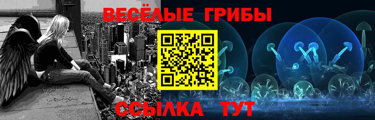 Псилоцибиновые грибы Psilocybe  Вход с VPN  Ипатово 