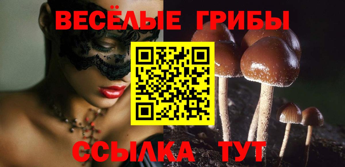 Галлюциногенные грибы Psilocybine cubensis Ипатово